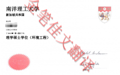 新加坡南洋理工大学学位证翻译案例模板