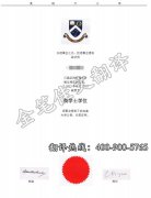 澳大利亚悉尼大学学历学位认证翻译案例模板