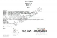 法国里昂大学学历学位认证翻译案例模板