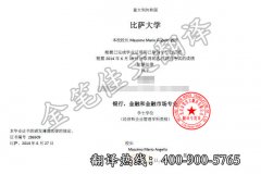 意大利比萨大学学历学位认证翻译