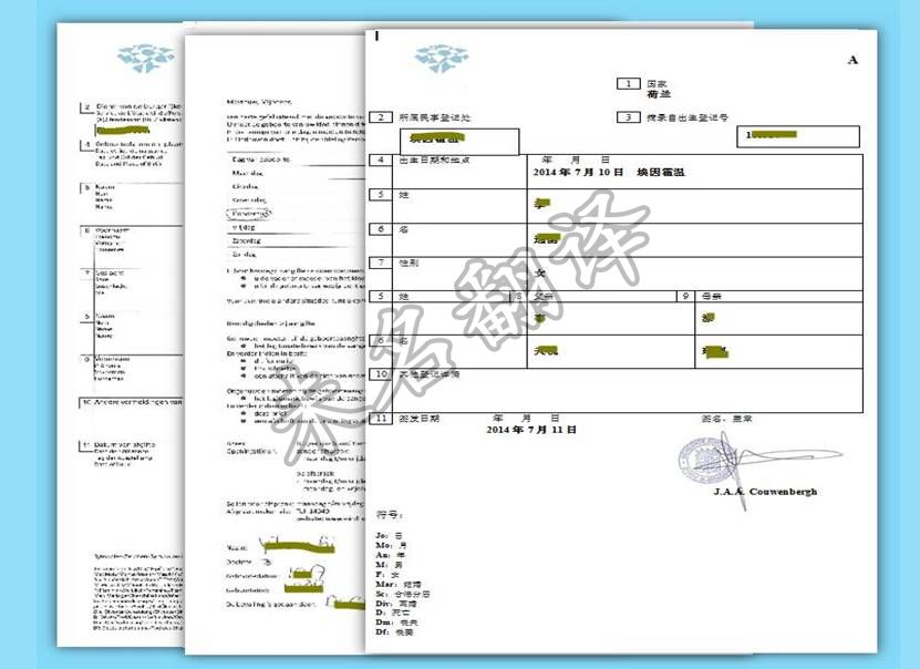 荷兰出生证明翻译模板